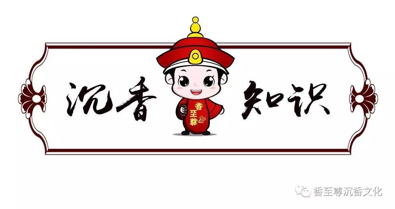下载选龙头股票炒股软件，解锁投资新境界的智能工具