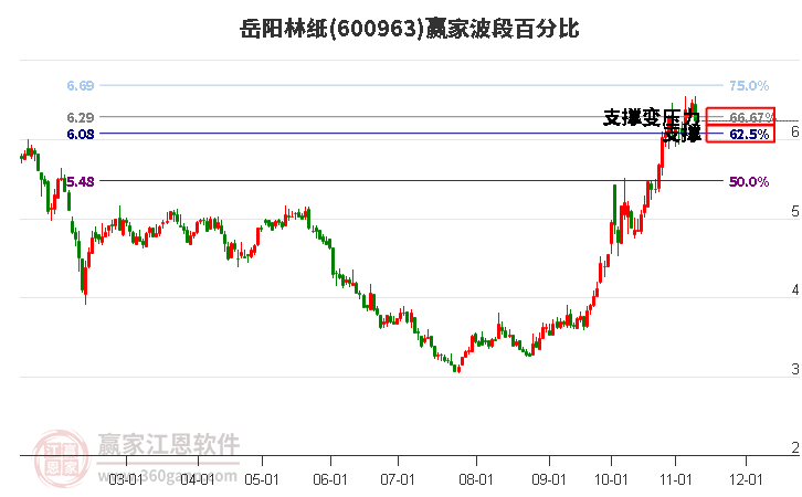 岳阳纸业股票，行业新秀的崛起与挑战