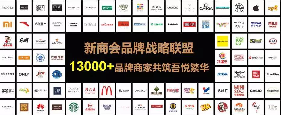 炒股专用电脑图片软件，提升投资体验的技术利器