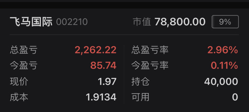 飞马国际股吧，深度剖析与未来展望
