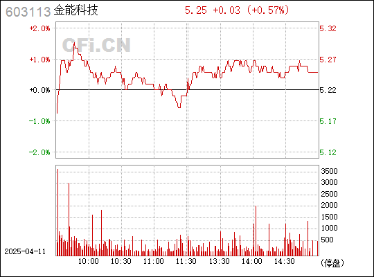 603113金能科技股票，深度剖析与投资策略
