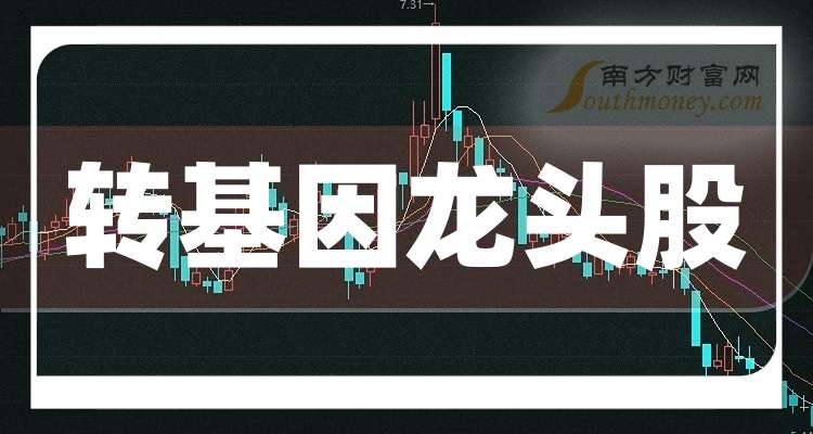 探秘大北农股票不涨之谜，多因素交织下的市场困境