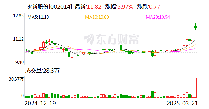 永新股份股票，市场动态与投资价值分析