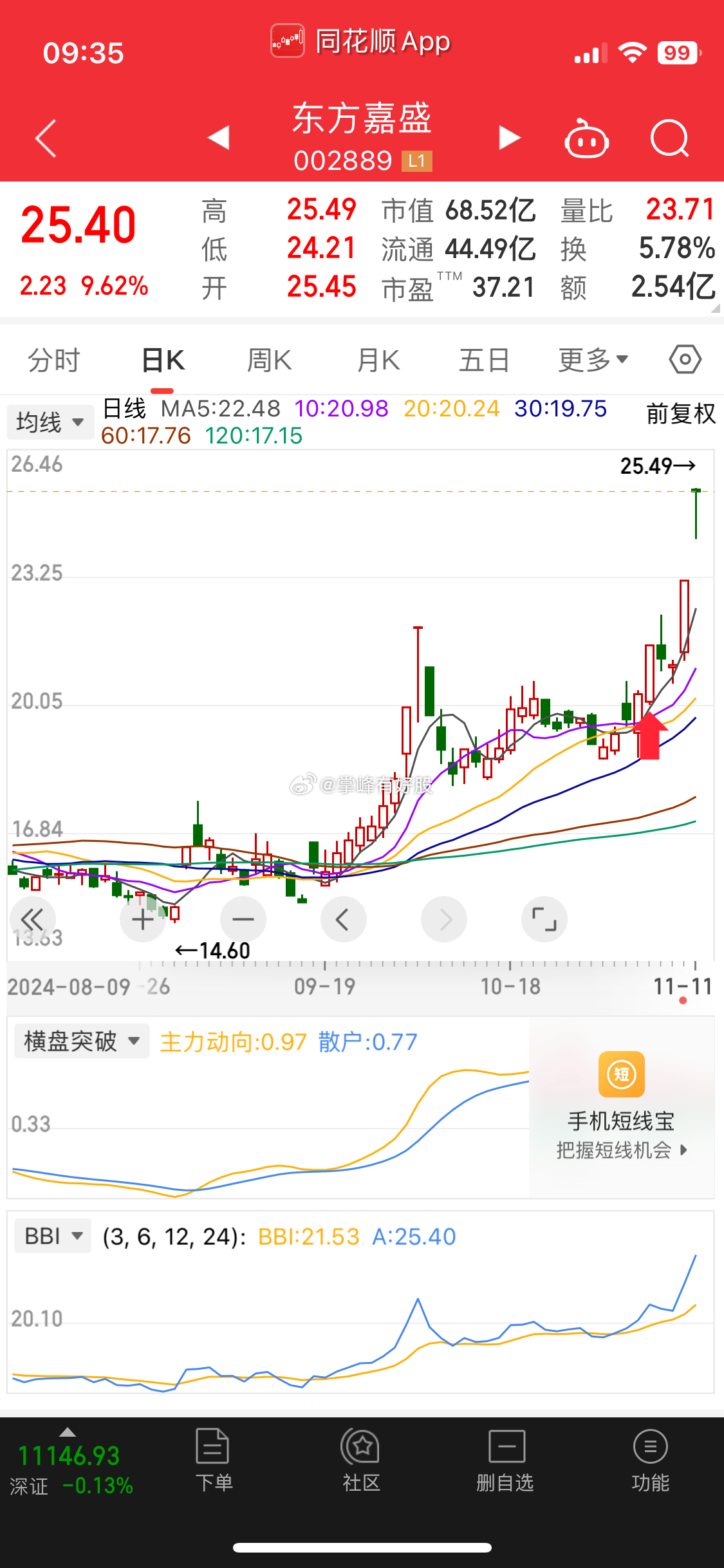 东方嘉盛股票，潜力与风险并存的行业新星