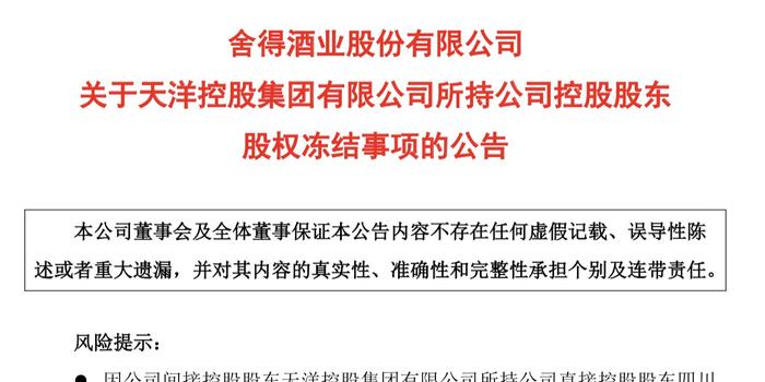 二股东股权遭冻结，企业治理风险与应对策略的深度剖析