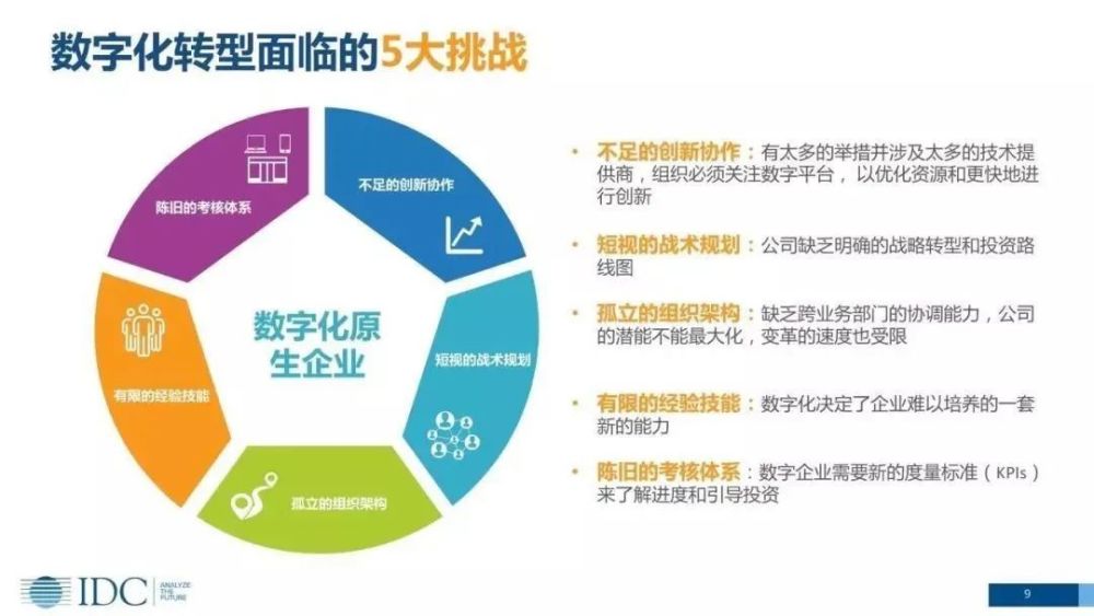 文化旅游与数字化转型，双引擎可带动白酒发展新篇章