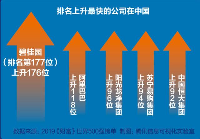 盈利水平持续可期，企业稳健发展的策略与实践