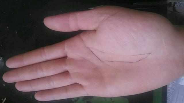 掌中财富，揭秘能看筹码的手机炒股软件
