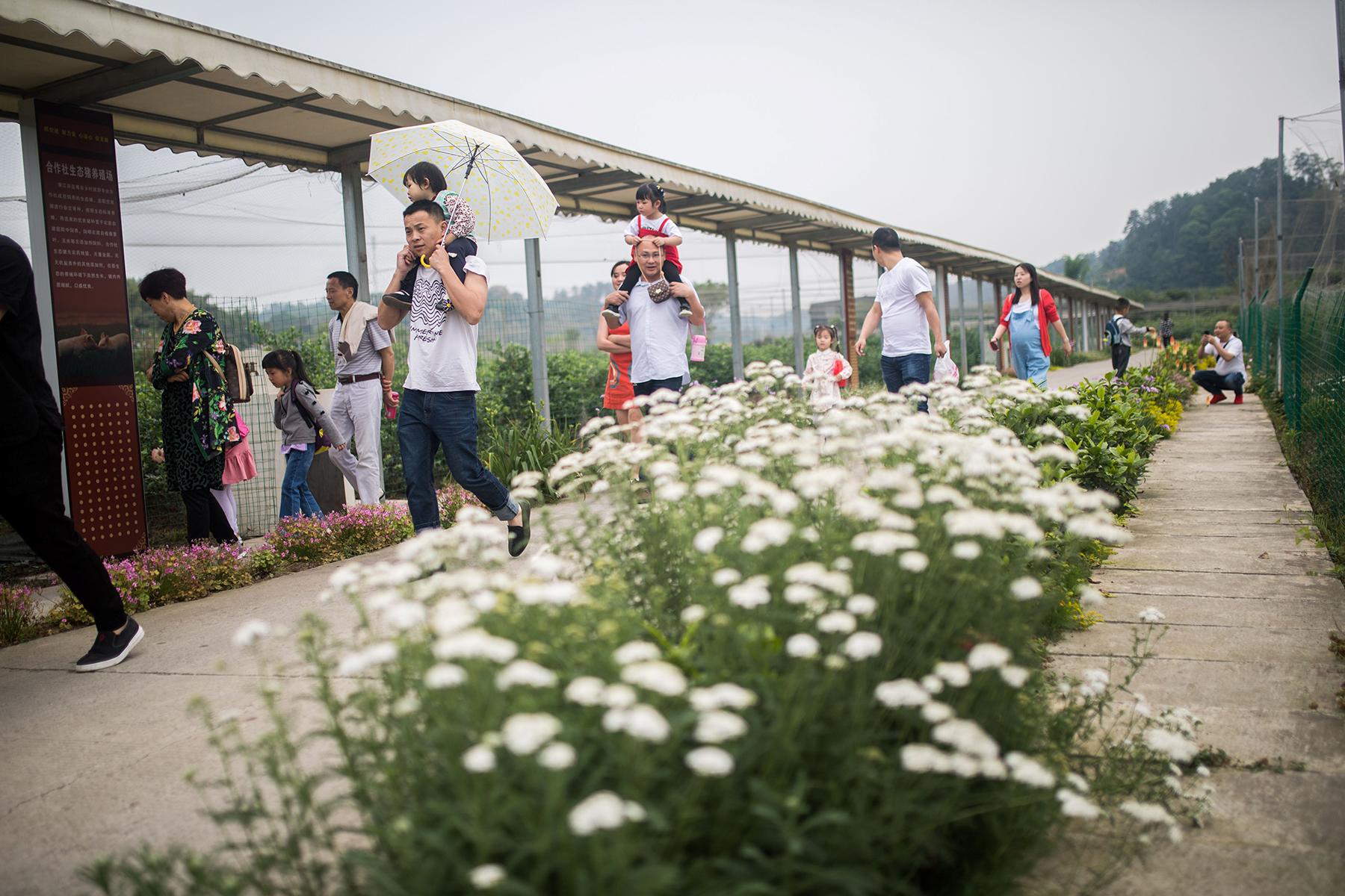 春节旅游热潮，游客量大涨背后的文化与经济双驱动
