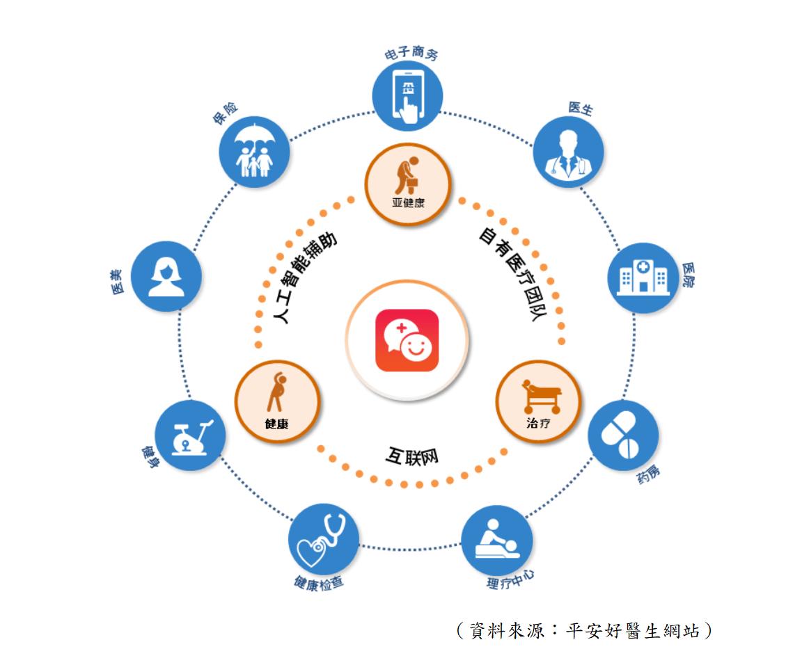 探秘安妮股份股票，潜力与风险并存的投资选择