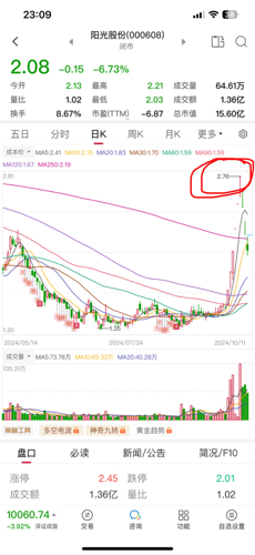 阳光股份股票，市场动态与投资价值分析