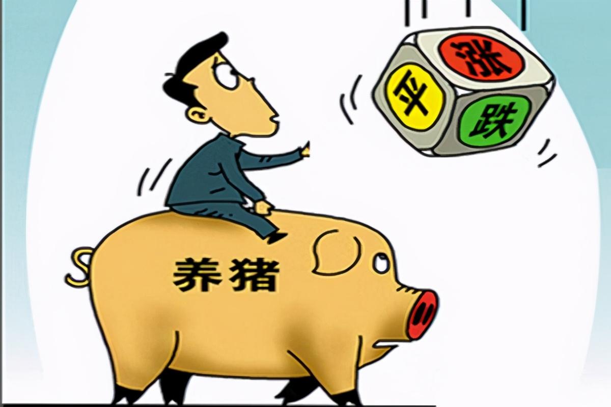 深度剖析，中国平安股票的估值逻辑与未来展望