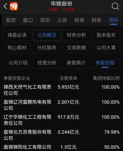 探索华锦股份，创新驱动下的产业升级与可持续发展之路