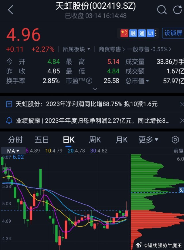 探秘天虹股份股票，从行业龙头到价值投资的蓝筹股