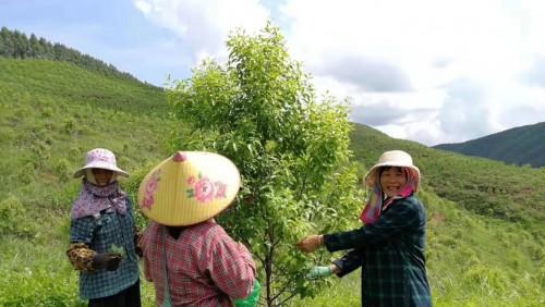 探索绿色未来，霞客环保股吧的绿色投资之旅