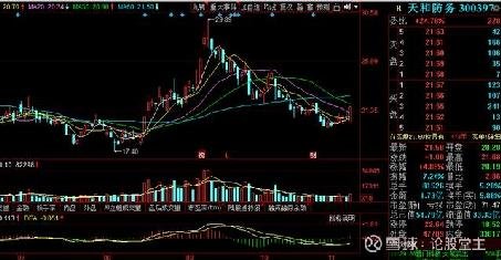 探秘华软科技股票行情，科技蓝海中的航行者