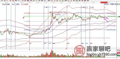 600585股票，从行业前景到投资价值深度剖析
