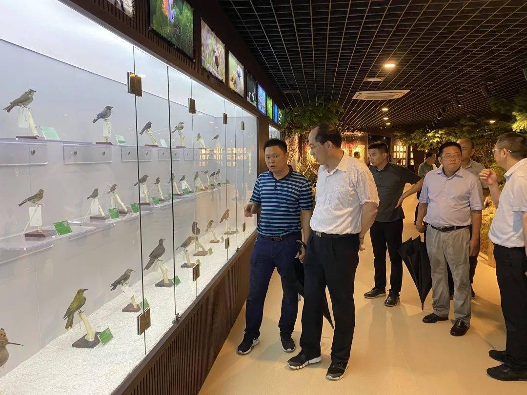 明确对偷拍说不，构建个人隐私保护的坚固防线