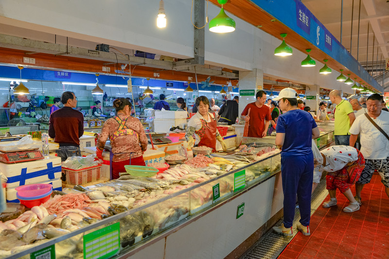 光大银行IPO发行价，市场、策略与影响的深度剖析