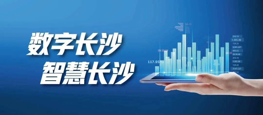 探索智慧投资新境界，大智慧海通炒股软件下载全攻略