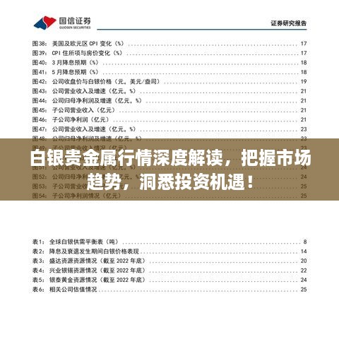 探索中国白银交易网的黄金机遇与挑战