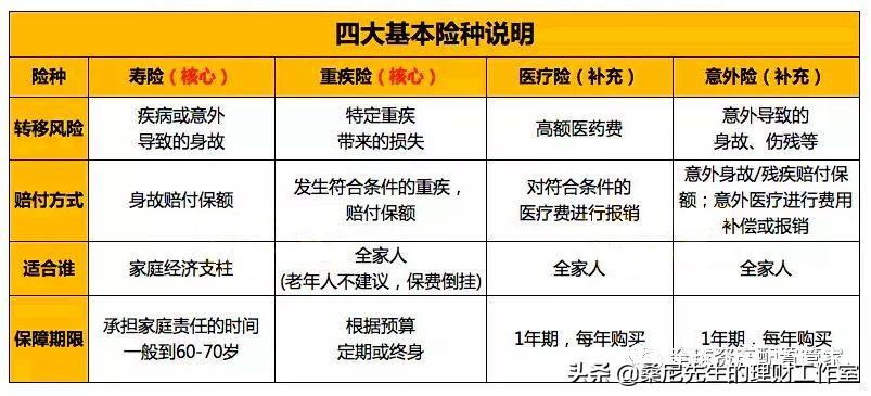 老王炒股软件，下载指南与使用体验深度剖析