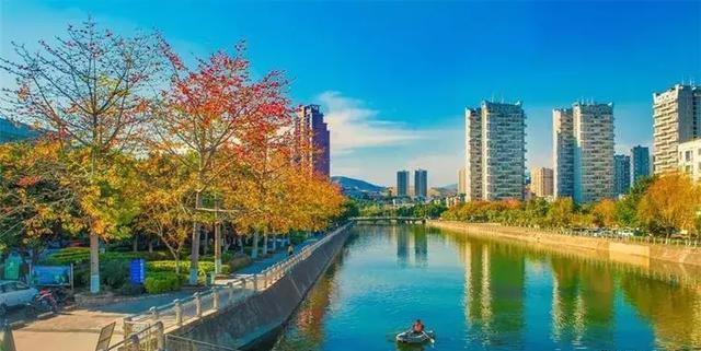 恒瑞医药公司股票股吧，投资潜力与前景展望