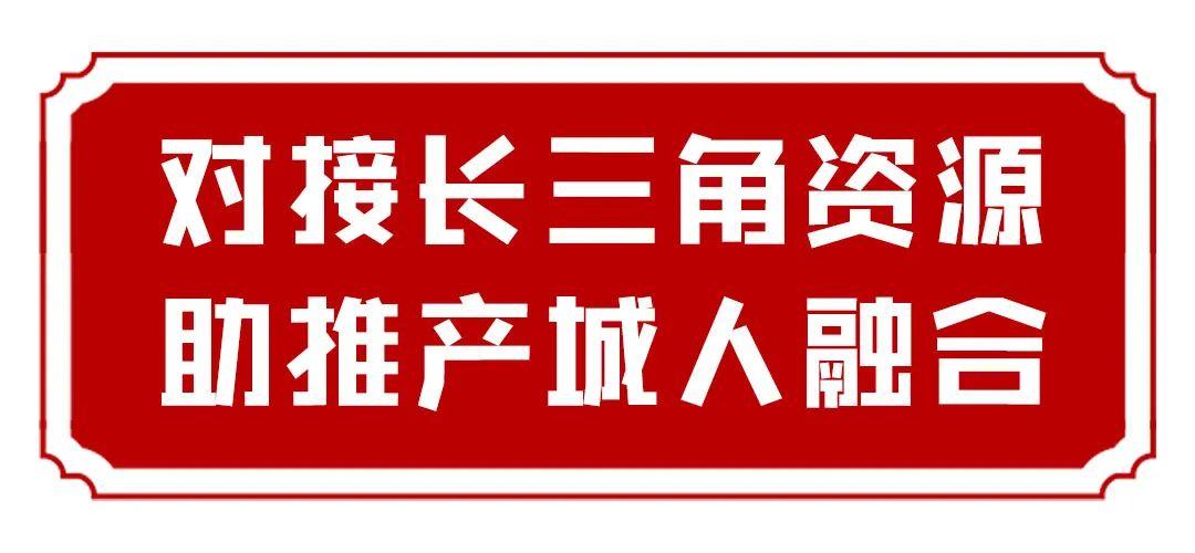 千股千评，上工申贝股票的深度剖析与未来展望