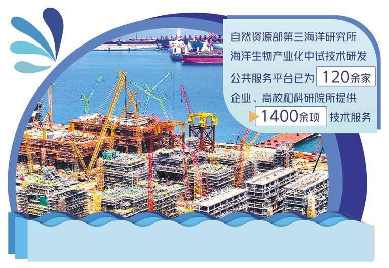探索海达股份，创新驱动的海洋经济新航标