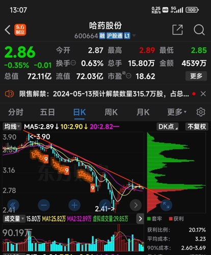 哈药股票，历史、现状与未来展望