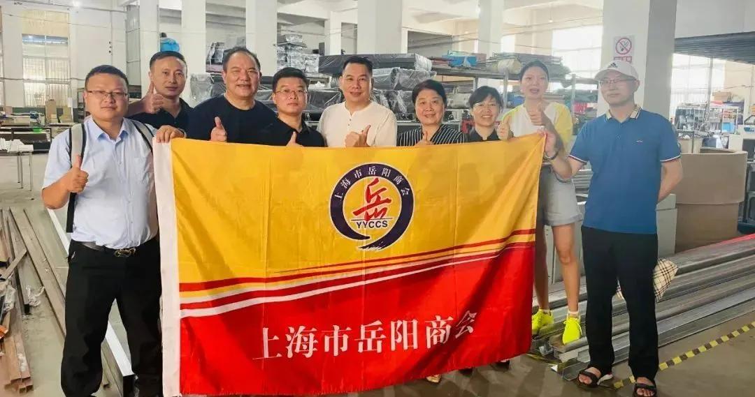 博大绿泽股票，探索与前景展望
