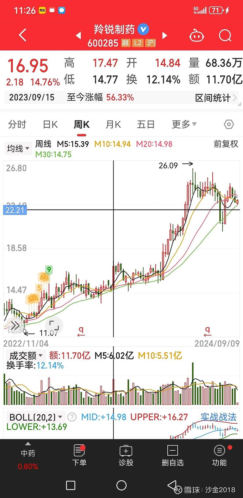 羚锐股票，投资潜力与市场前景分析