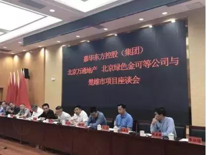 金贵银业股票，投资潜力与市场前景分析