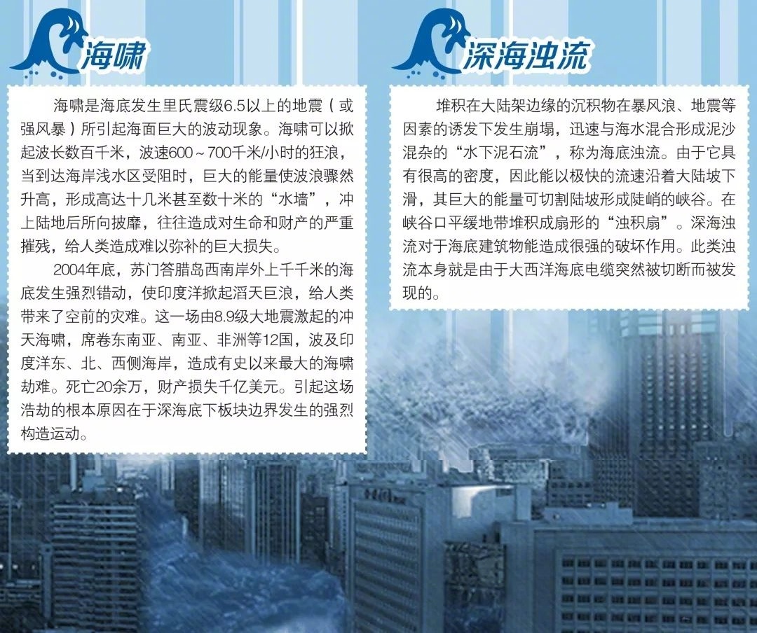 鱼在金融海啸中的智慧与生存策略