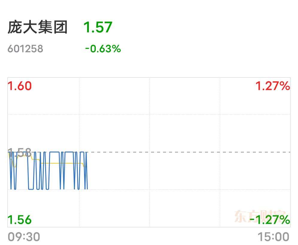 庞大股票股吧，深度解析与投资策略