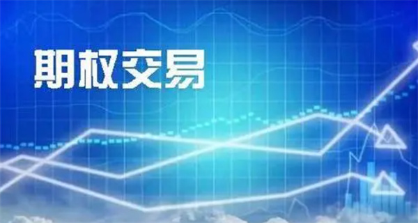 免费炒股训练软件手机版，提升你的投资技能
