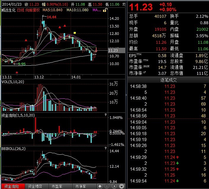 威远生化股票，行业波澜下的投资机遇与风险考量