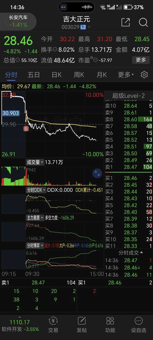 正大集团股票，多元化布局下的稳健增长与未来展望