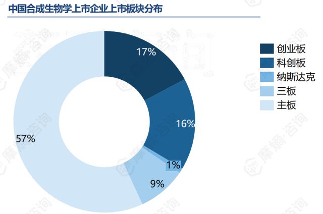 纸黄金，投资新宠与市场分析