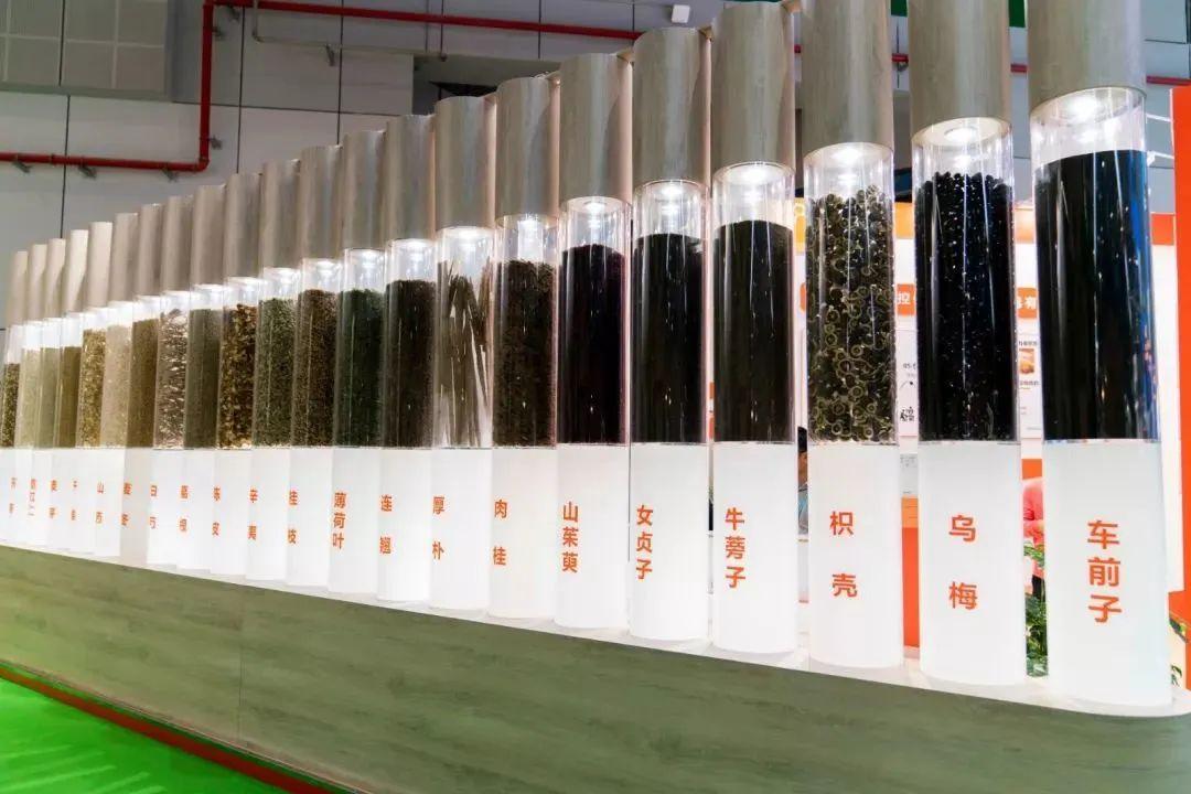 600781股票，中国平安的稳健之路与未来展望