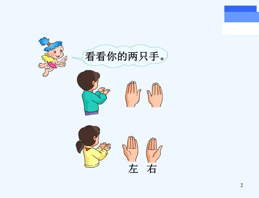 企业稳健增长新篇章，经调整净利润增速预计达20%左右