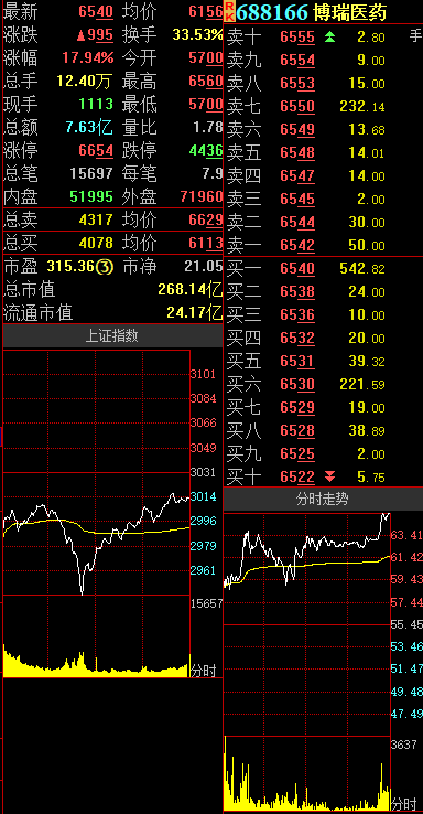 博琪医药股票，潜力与挑战并存的医疗健康蓝海