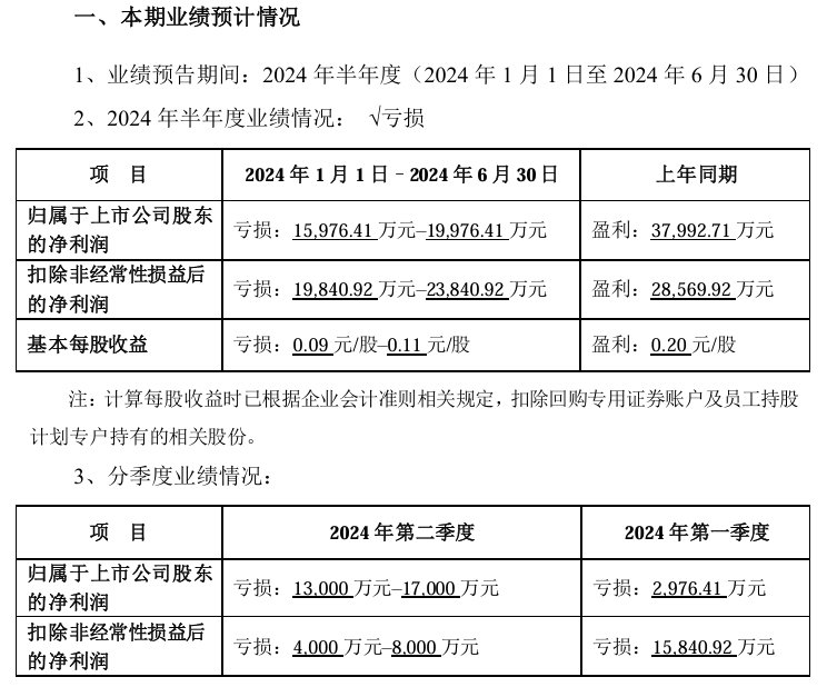 2024年上半年预计净利润亏损区间，3000万元至2000万元，企业面临的挑战与应对策略