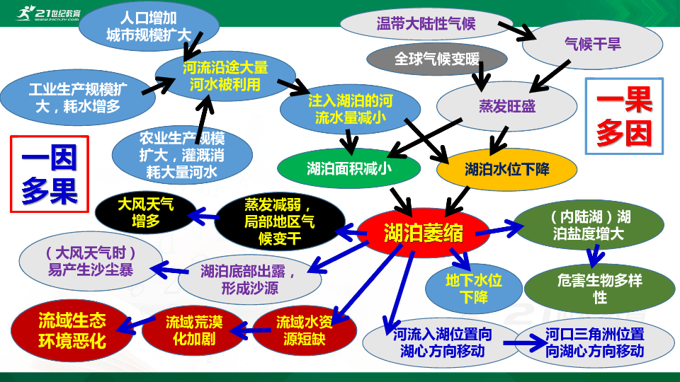 股票异常波动的深度剖析，成因、影响与应对策略