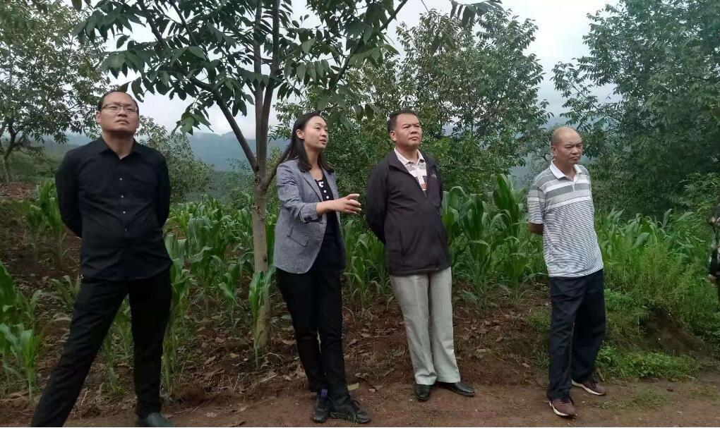 继续加快培育和发展新质生产力，推动经济社会高质量发展的关键路径