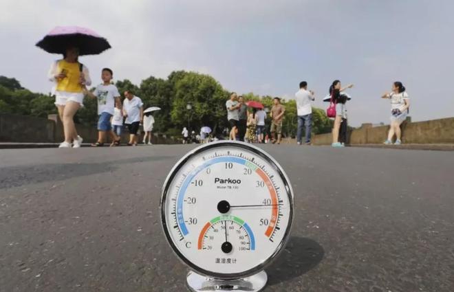 掌握市场脉搏，为何拥有一个市场温度计至关重要