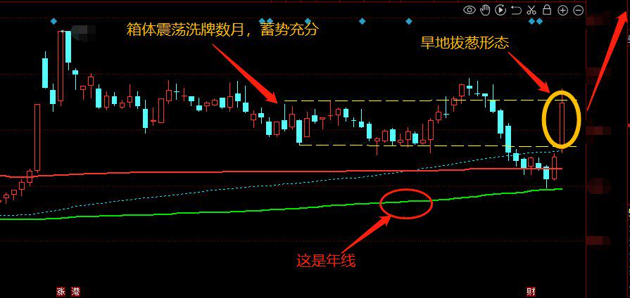 解读股票6字头，中国股市的独特现象与投资指南