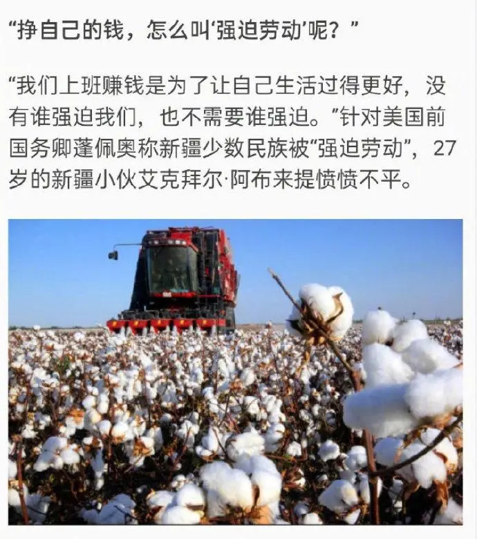 探索新疆棉花产业背后的投资机遇，新疆棉花股票的深度剖析