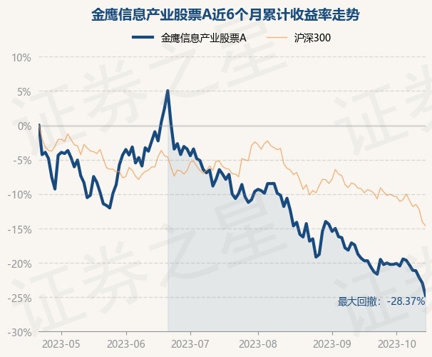 金鹰股票，翱翔于资本市场的金色之鹰