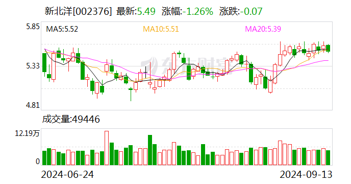 新北洋股票的投资价值解析